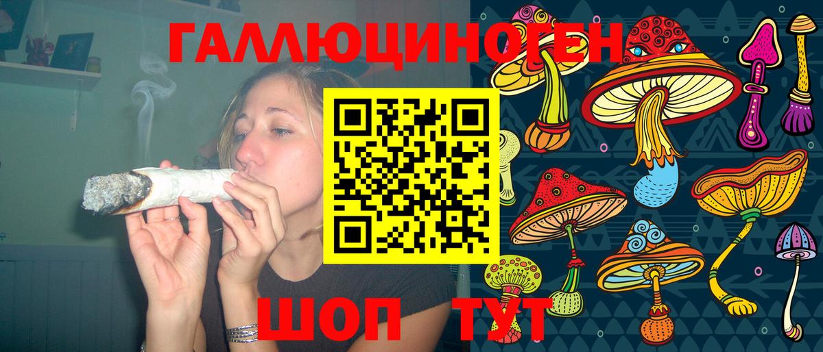 Карасук  Галлюциногенные грибы прущие грибы  Вход с VPN  Галлюциногенные грибы Psilocybe 