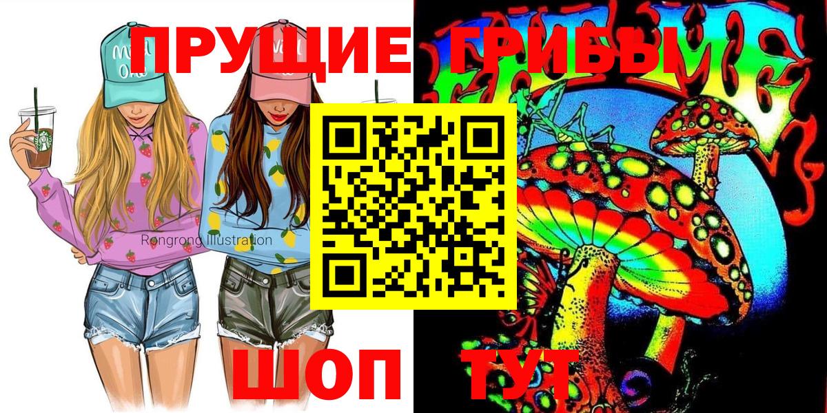 Галлюциногенные грибы Psilocybe Карасук